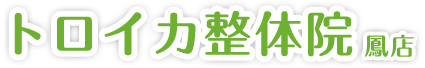 トロイカ整体院 鳳店